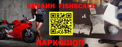 прущие грибы Новозыбков
