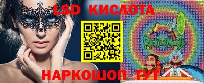 прущие грибы Новозыбков