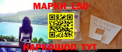 прущие грибы Новозыбков