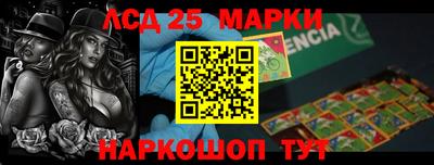 прущие грибы Новозыбков