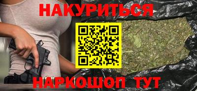прущие грибы Новозыбков