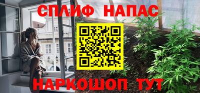 прущие грибы Новозыбков
