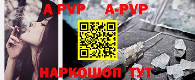 прущие грибы Новозыбков