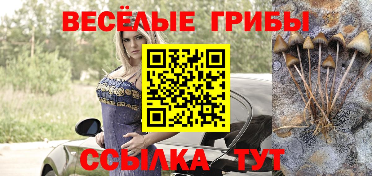 Галлюциногенные грибы Magic Shrooms Сланцы