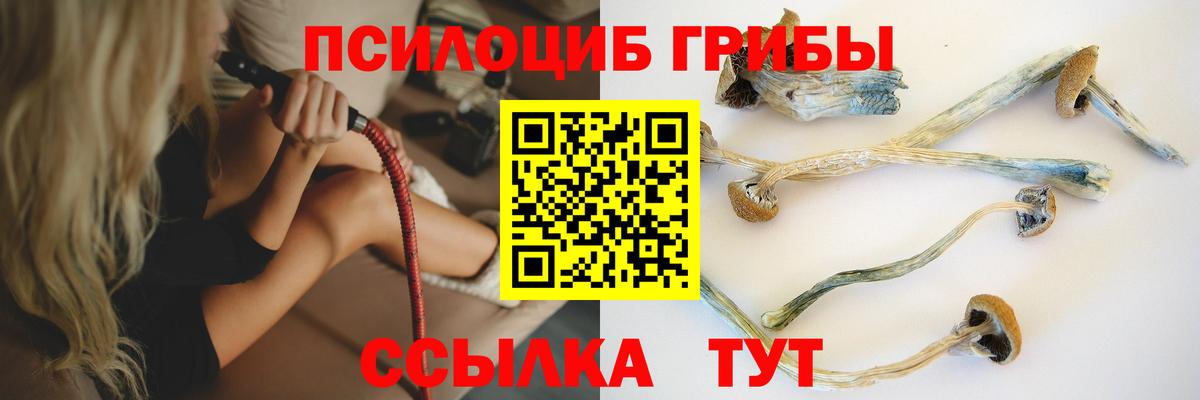что такое наркотик  Вход с VPN  Галлюциногенные грибы мухоморы  Сланцы  Псилоцибиновые грибы ЛСД 